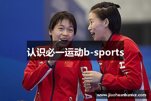 认识必一运动b-sports